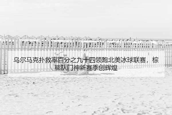 乌尔马克扑救率百分之九十四领跑北美冰球联赛，棕熊队门神新赛季创辉煌